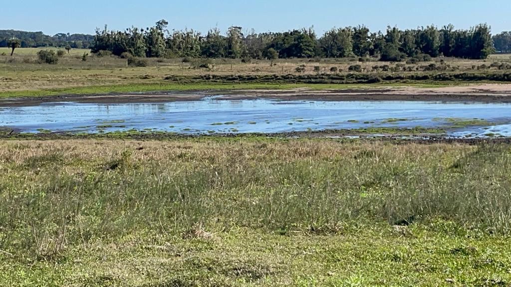 Sítio de 3 ha em Santo Antônio da Patrulha, RS