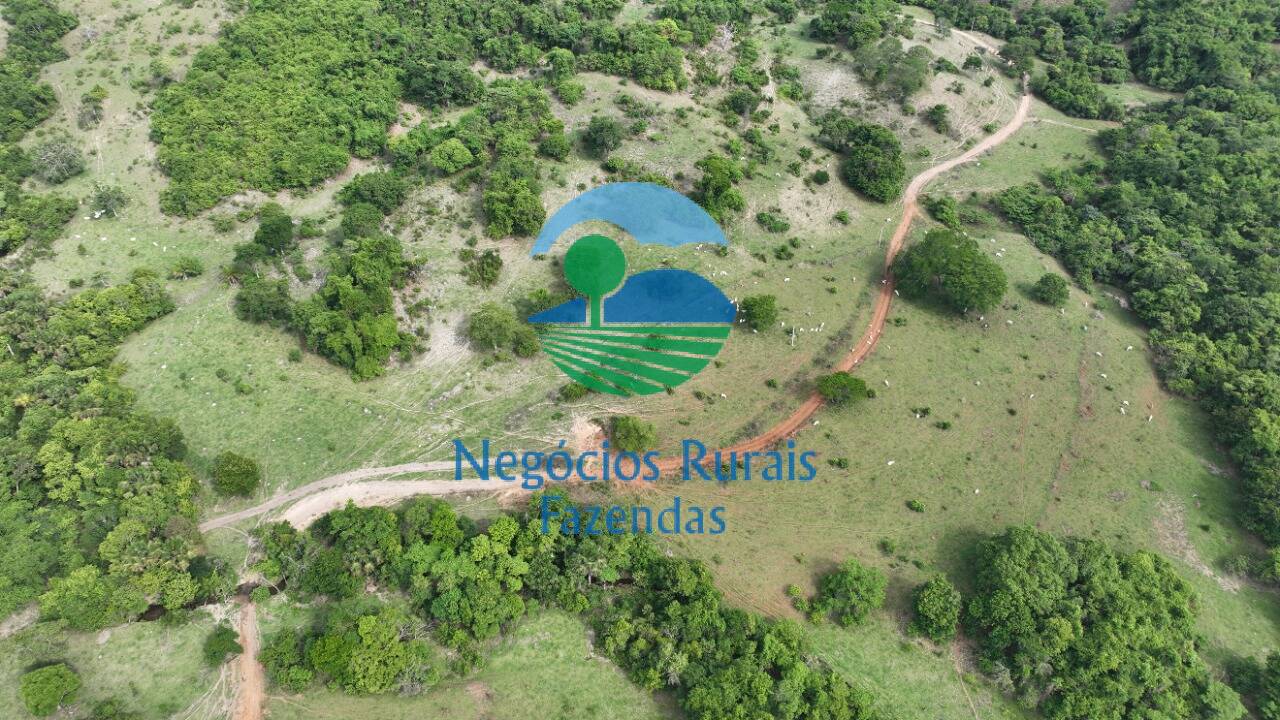 Fazenda de 145 ha em Uruaçu, GO