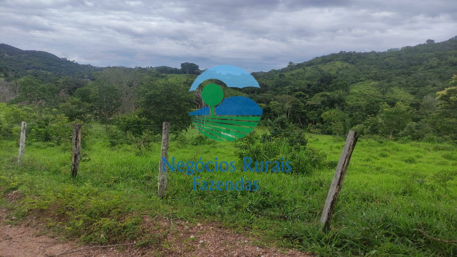Fazenda de 145 ha em Uruaçu, GO