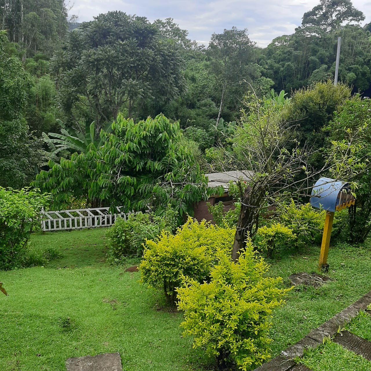 Chácara de 5.000 m² em Sapucaí-Mirim, MG