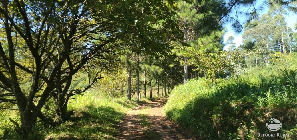 Fazenda de 66 ha em São José dos Campos, SP