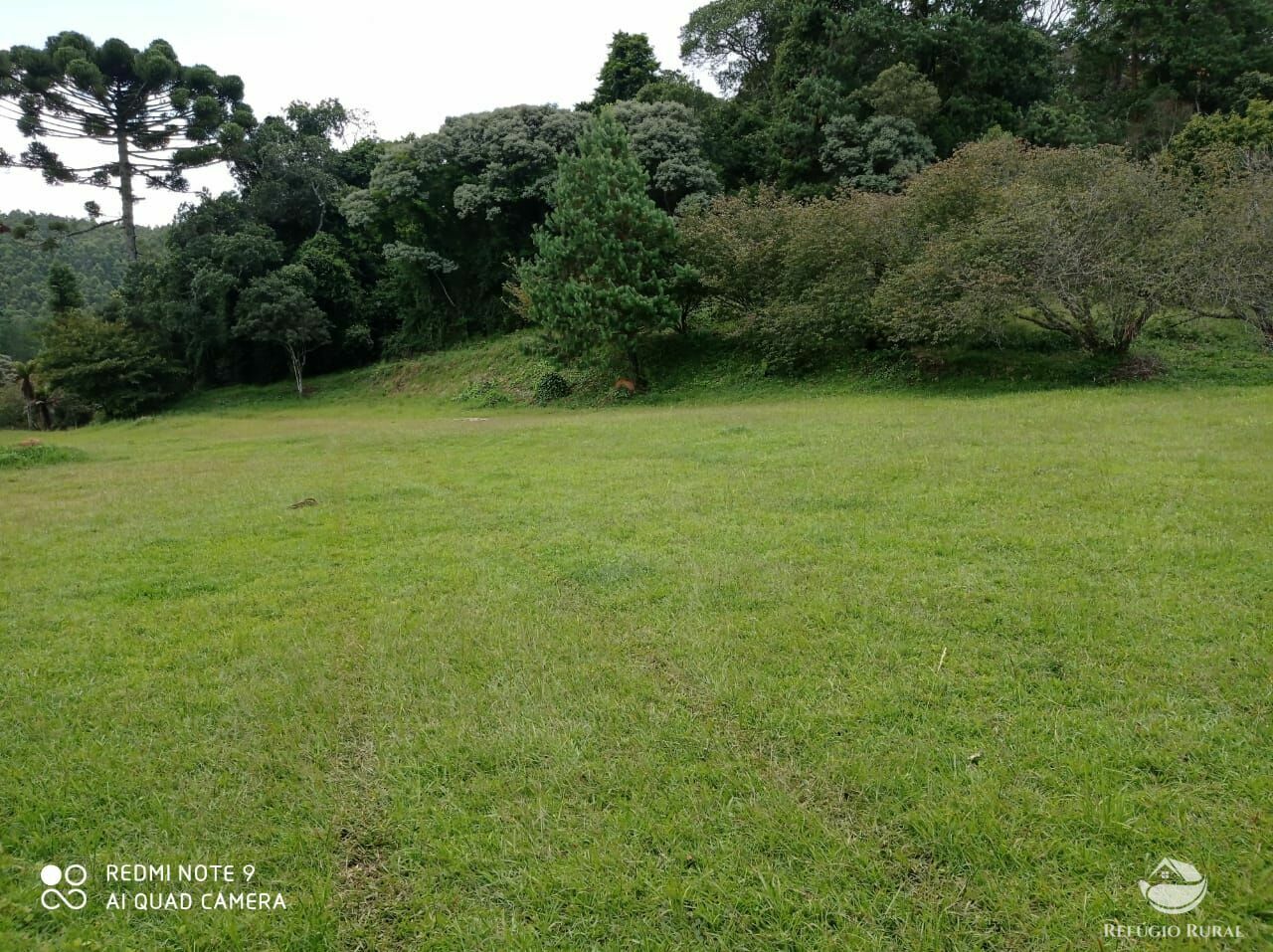 Fazenda de 66 ha em São José dos Campos, SP