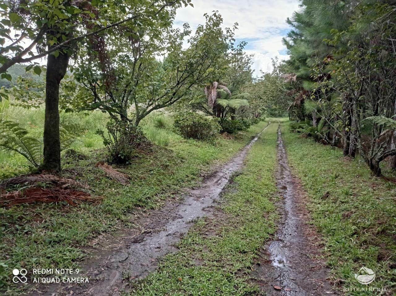 Fazenda de 66 ha em São José dos Campos, SP