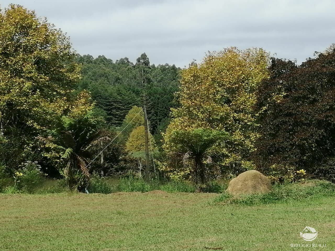 Fazenda de 66 ha em São José dos Campos, SP