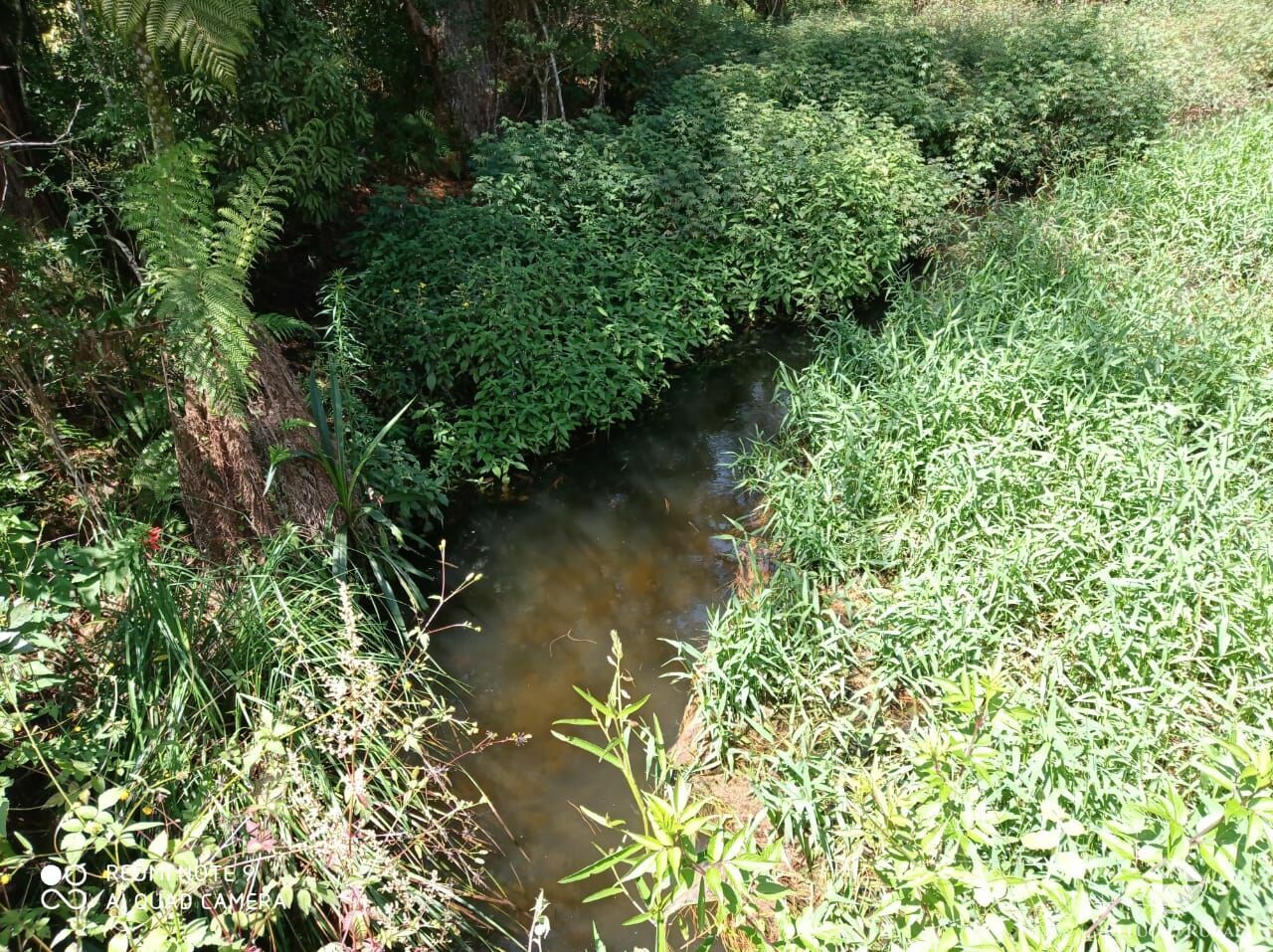 Fazenda de 66 ha em São José dos Campos, SP