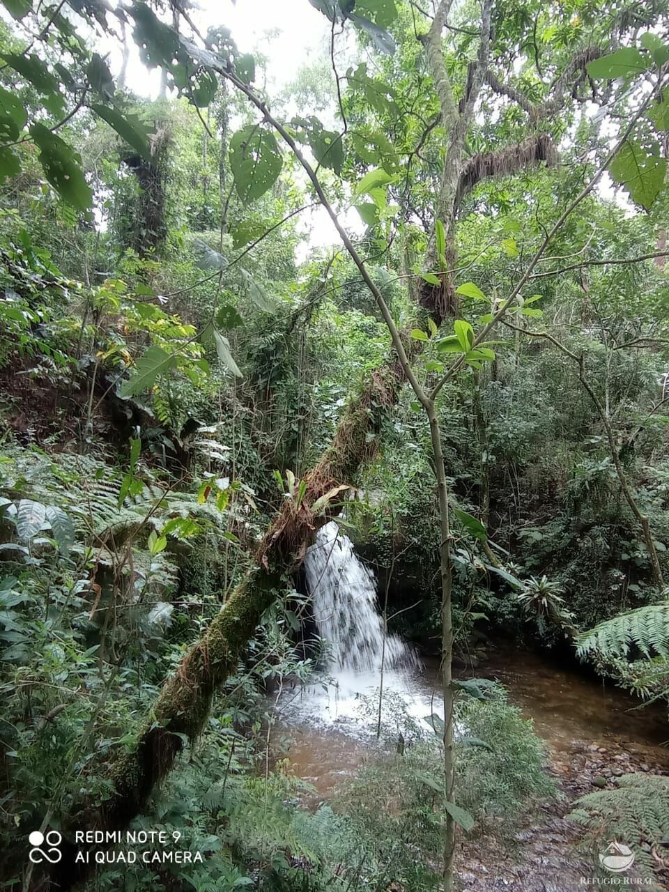 Fazenda de 66 ha em São José dos Campos, SP