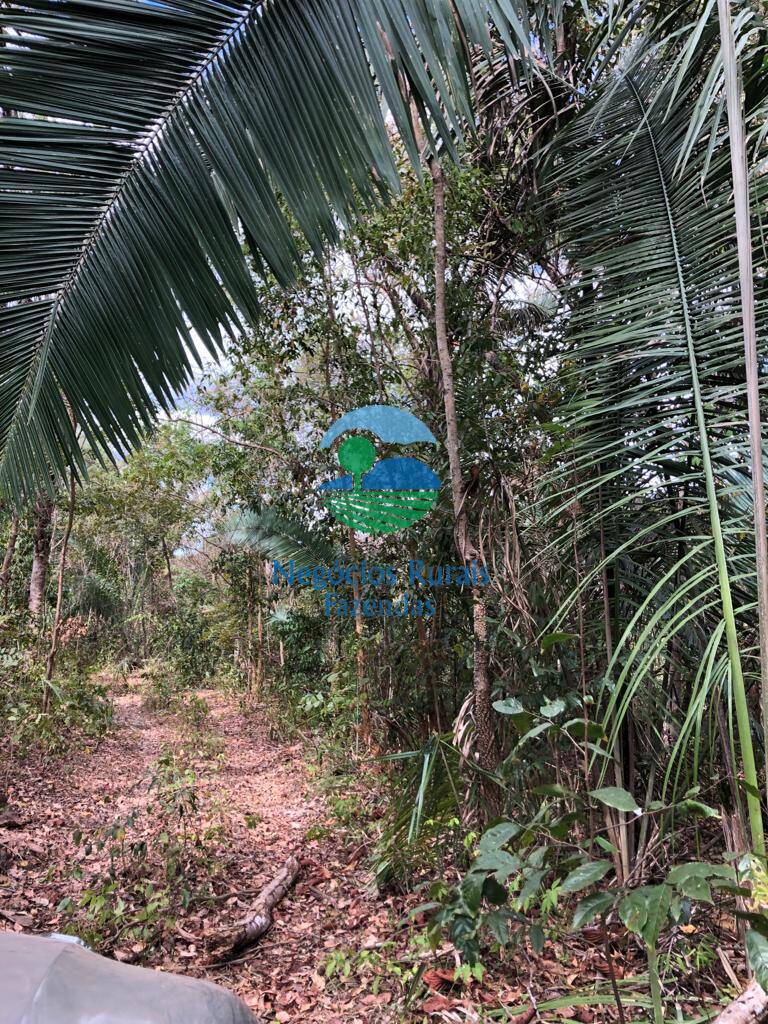 Fazenda de 4.646 ha em Colinas do Sul, GO