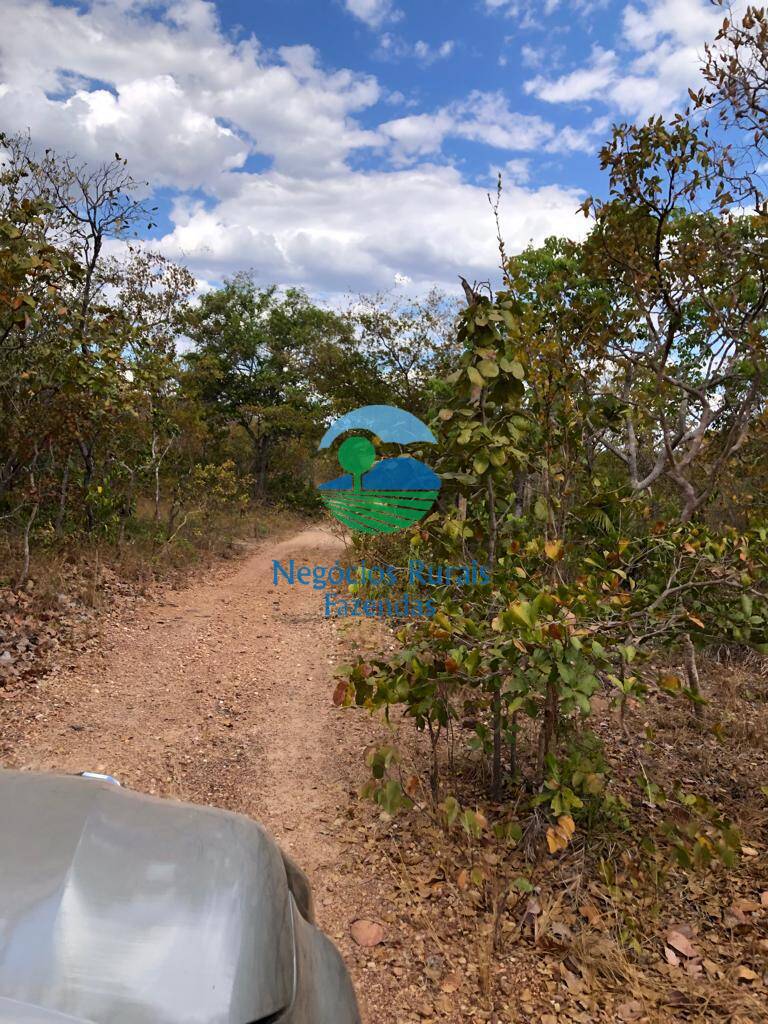 Fazenda de 4.646 ha em Colinas do Sul, GO