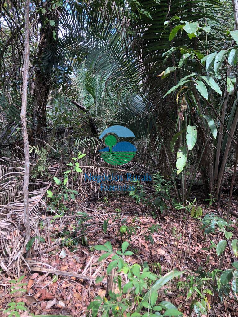 Fazenda de 4.646 ha em Colinas do Sul, GO