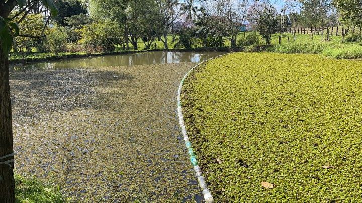 Chácara de 6.300 m² em Rolante, RS