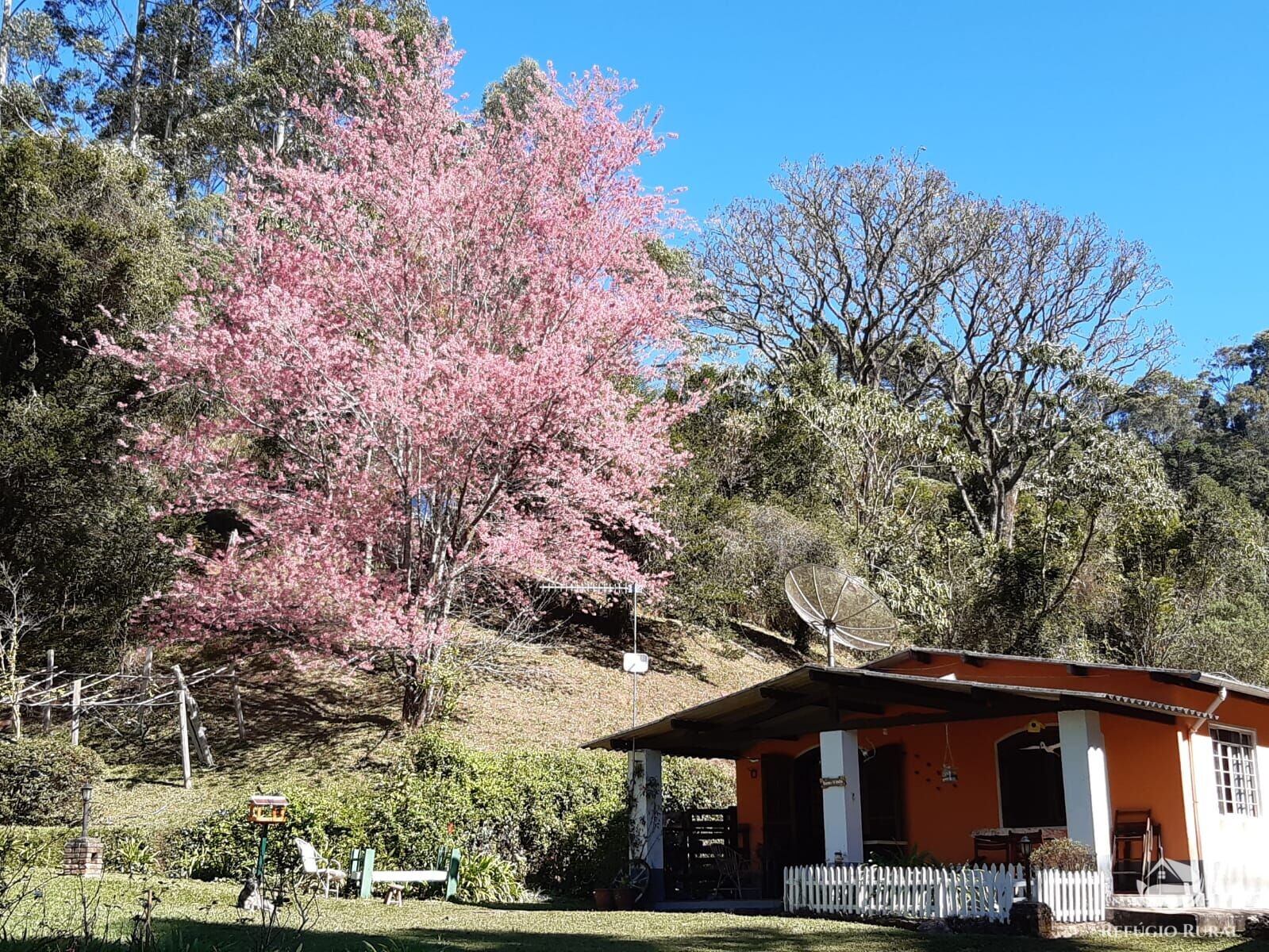 Sítio de 4 ha em Sapucaí-Mirim, MG