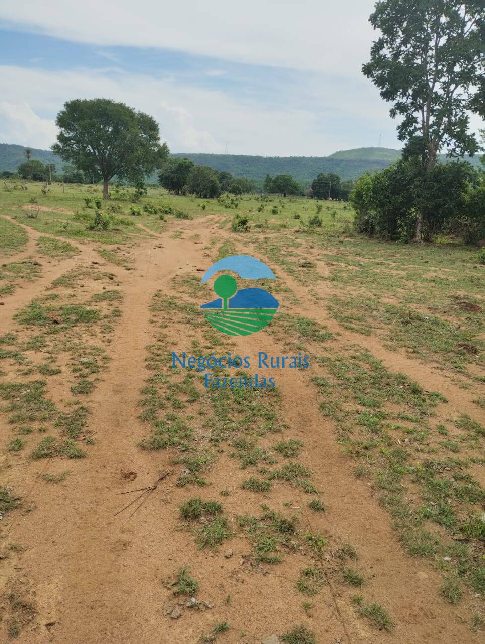 Fazenda de 435 ha em Paraíso do Tocantins, TO