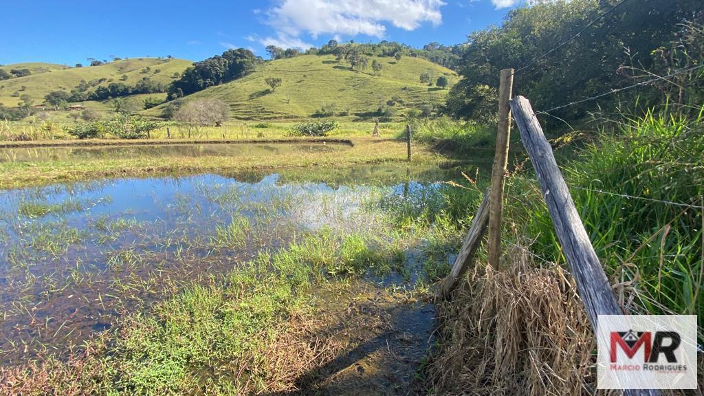 Sítio de 3.600 m² em Borda da Mata, MG