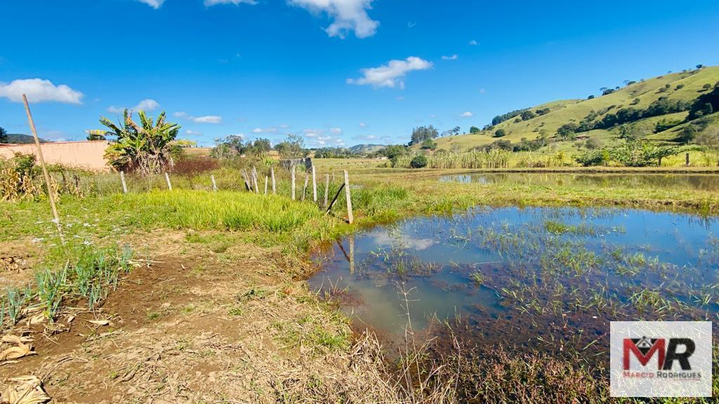 Sítio de 3.600 m² em Borda da Mata, MG