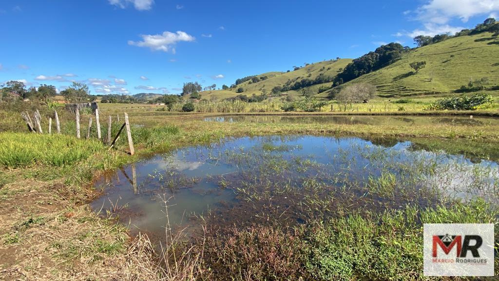 Sítio de 3.600 m² em Borda da Mata, MG