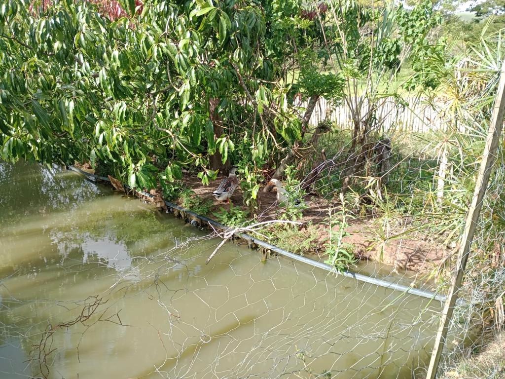 Chácara de 2 ha em Paraibuna, SP