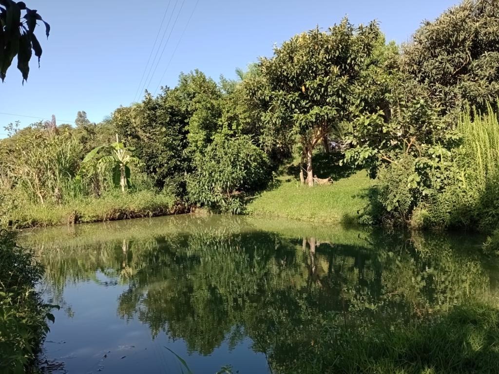 Chácara de 2 ha em Paraibuna, SP