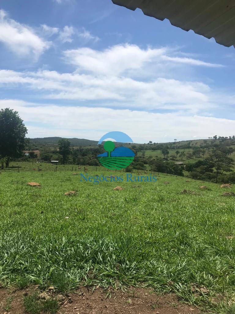 Fazenda de 121 ha em Bela Vista de Goiás, GO