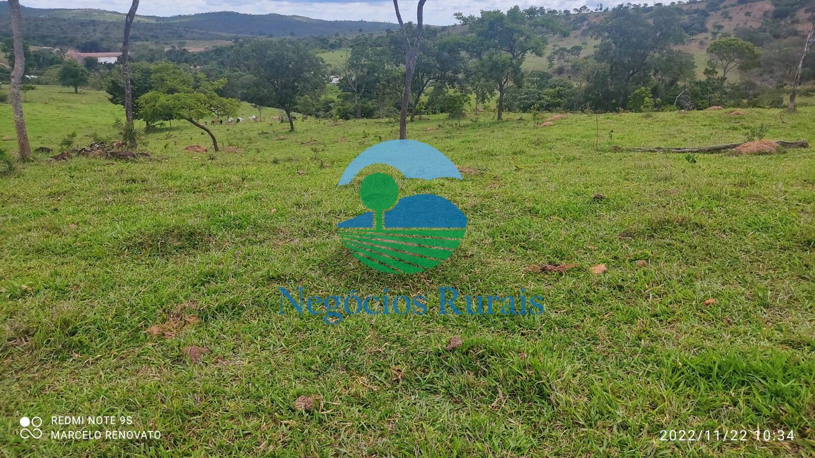 Fazenda de 121 ha em Bela Vista de Goiás, GO