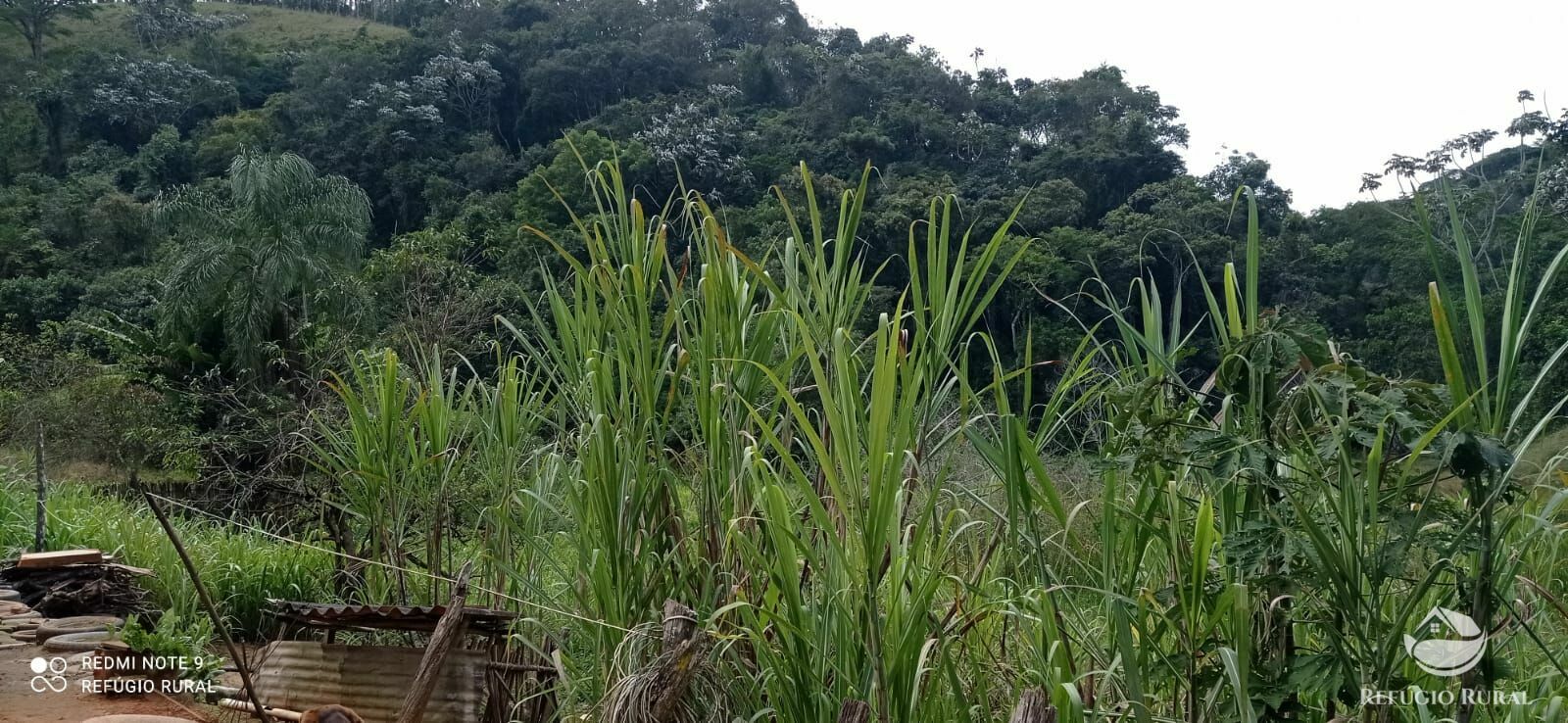 Sítio de 19 ha em Igaratá, SP