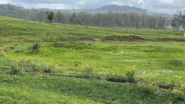 Sítio de 12 ha em Santo Antônio da Patrulha, RS