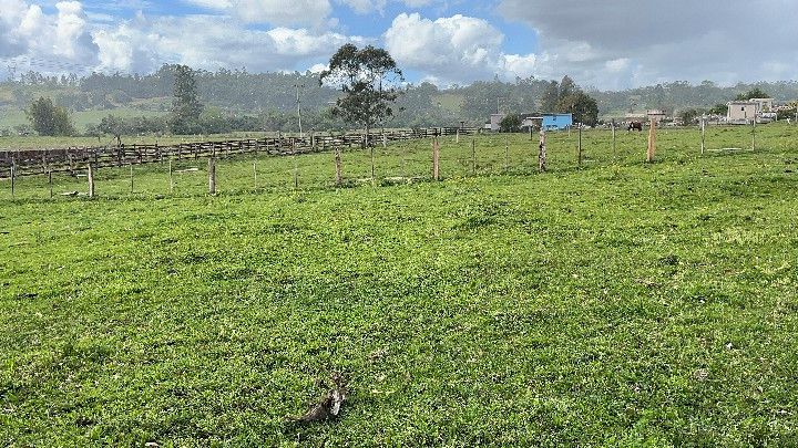 Sítio de 12 ha em Santo Antônio da Patrulha, RS