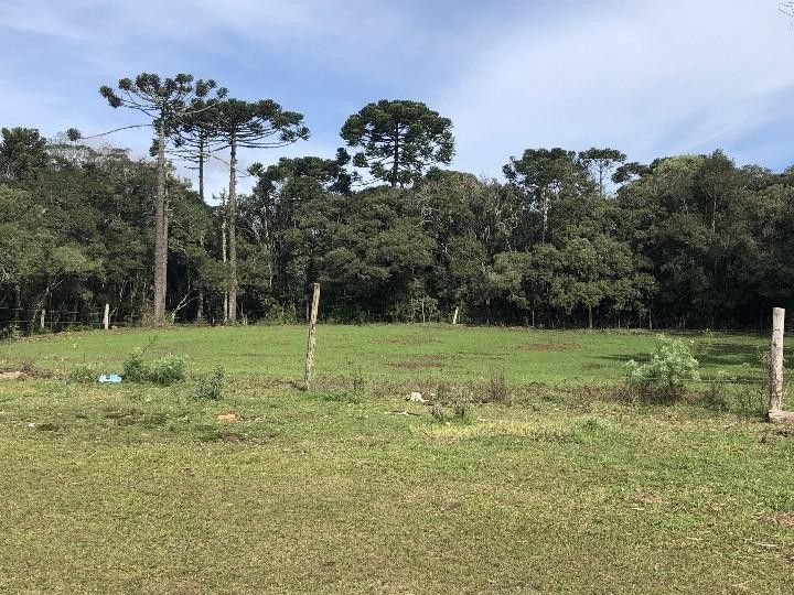 Fazenda de 318 ha em Cambará do Sul, RS