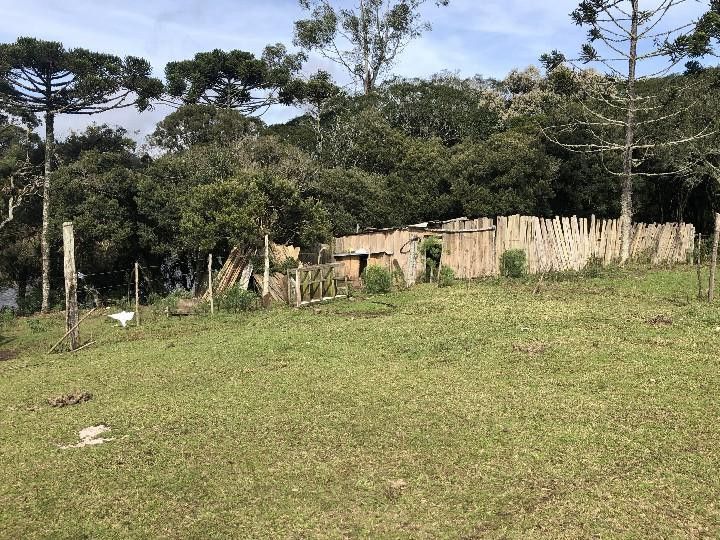 Fazenda de 318 ha em Cambará do Sul, RS