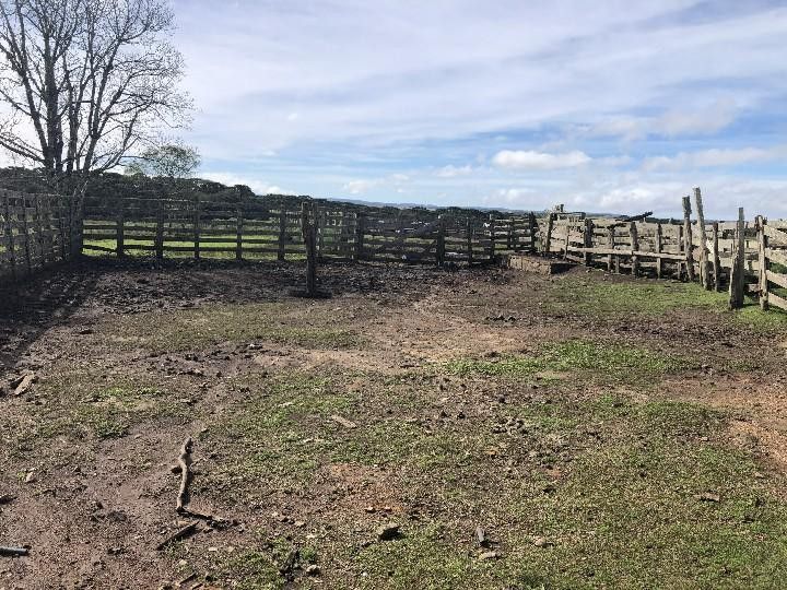 Fazenda de 318 ha em Cambará do Sul, RS