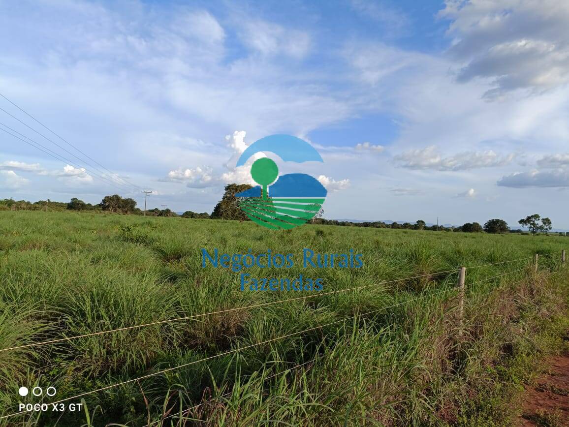 Fazenda de 726 ha em Novo Planalto, GO