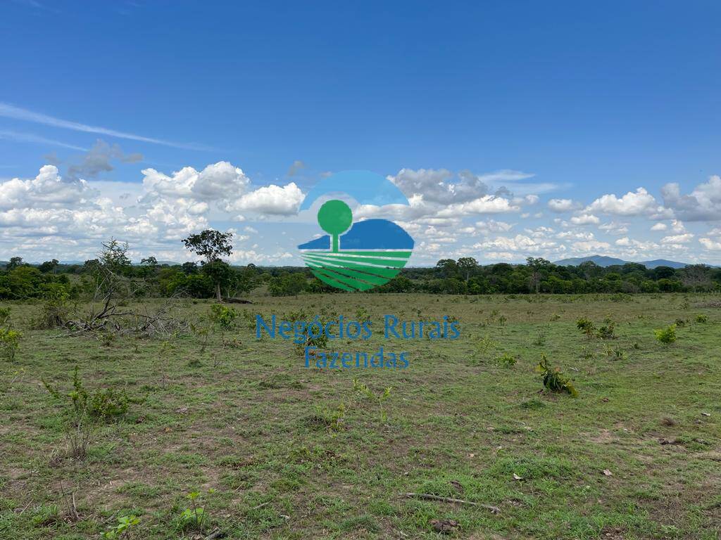 Fazenda de 784 ha em Palmeirópolis, TO