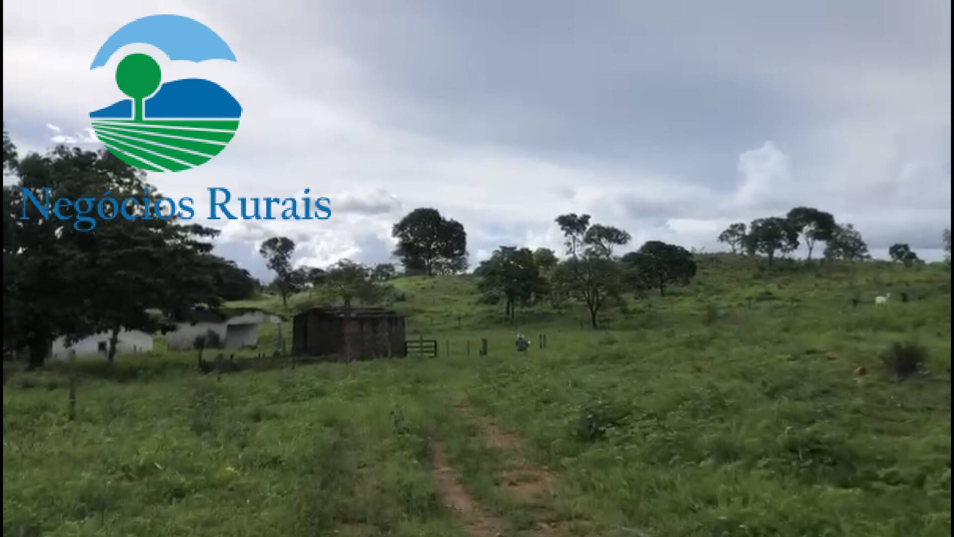 Fazenda de 208 ha em Nova Iguaçu de Goiás, GO