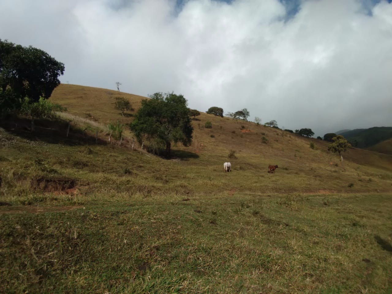 Sítio de 56 ha em São Luiz do Paraitinga, SP