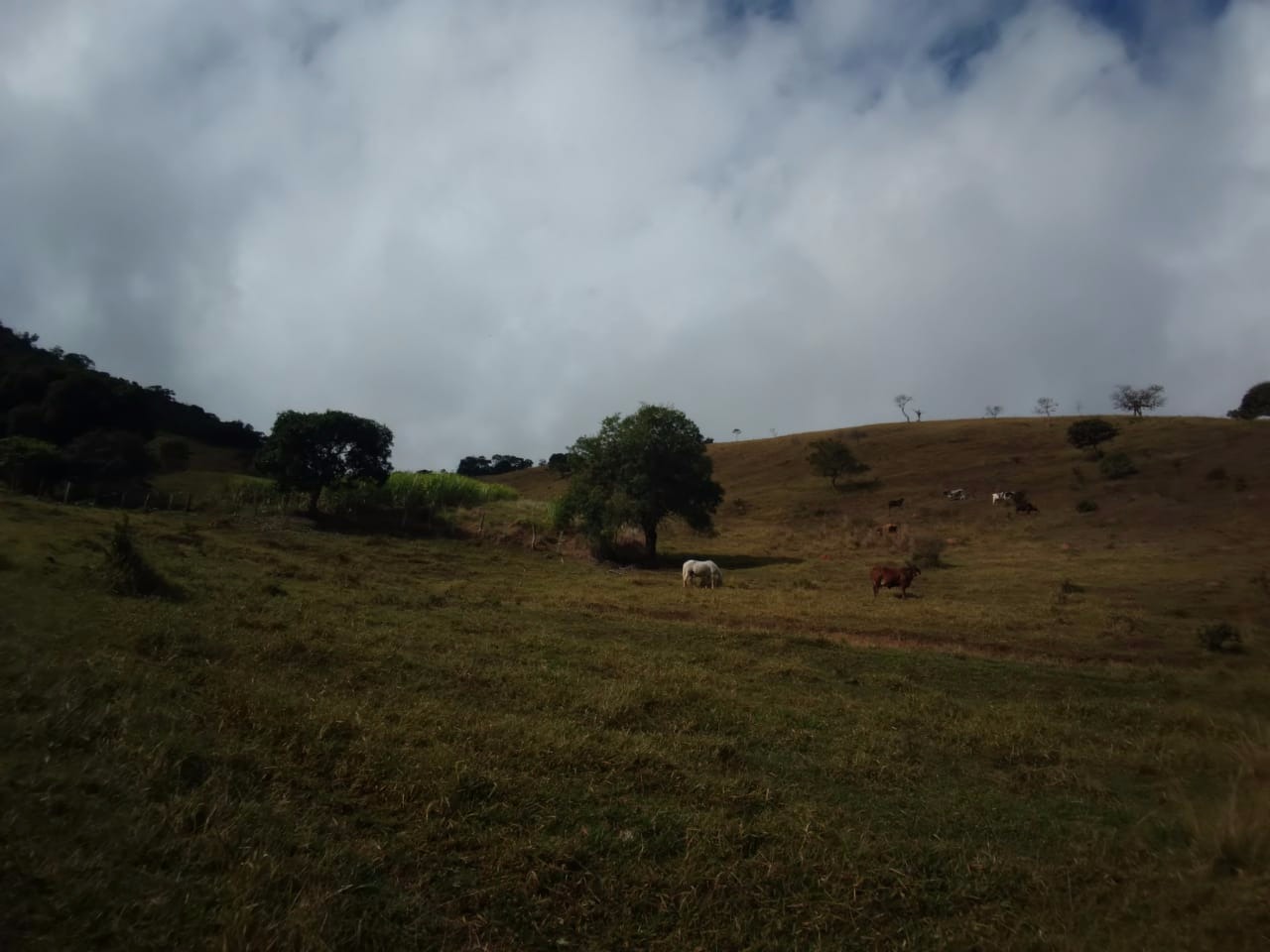 Sítio de 56 ha em São Luiz do Paraitinga, SP