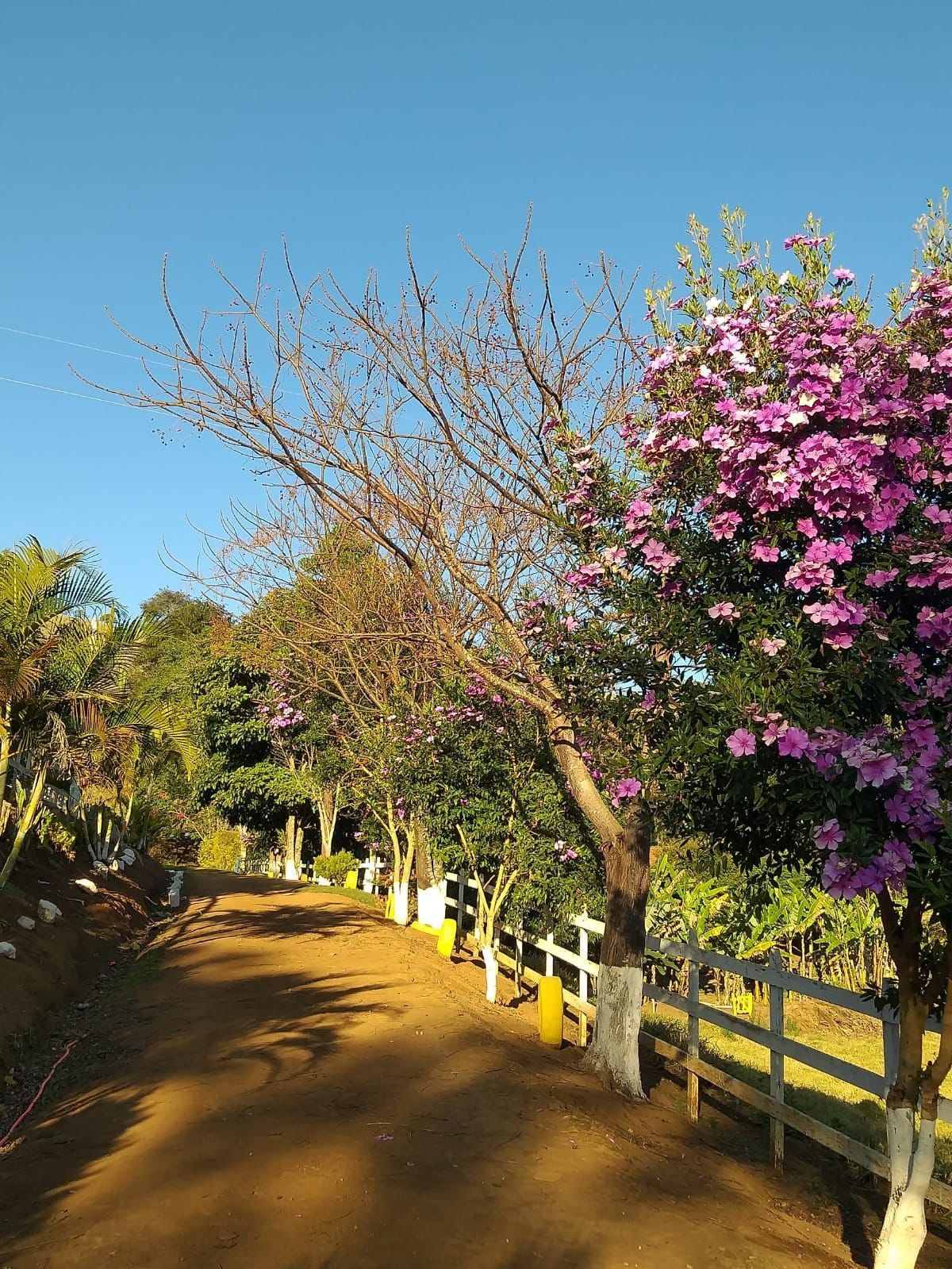 Sítio de 10 ha em Paraisópolis, MG