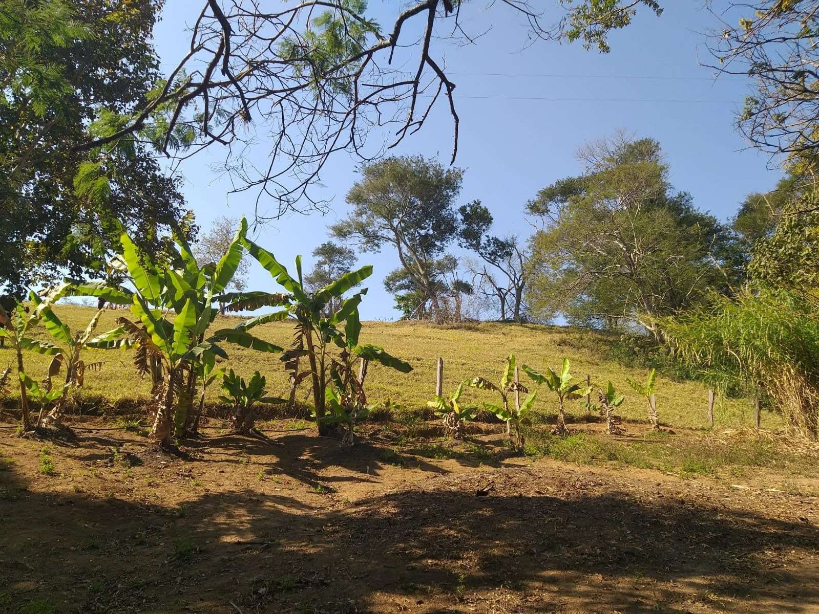 Sítio de 10 ha em Paraisópolis, MG