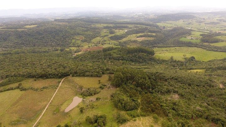 Chácara de 11 ha em Taquara, RS