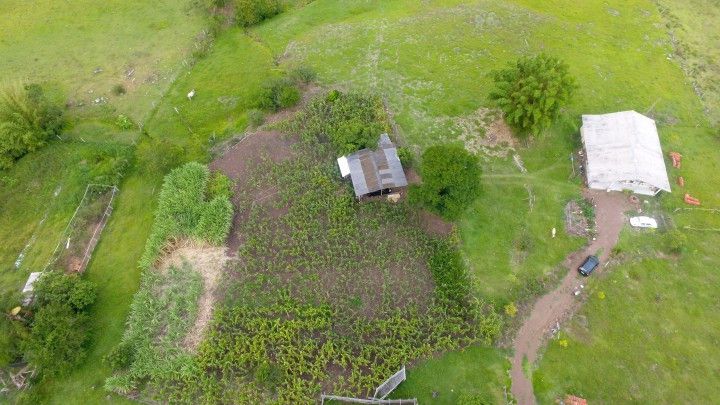 Sítio de 6 ha em Santo Antônio da Patrulha, RS