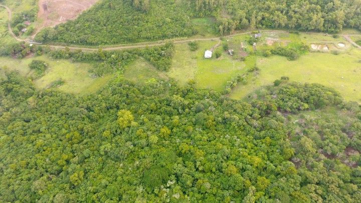 Sítio de 6 ha em Santo Antônio da Patrulha, RS