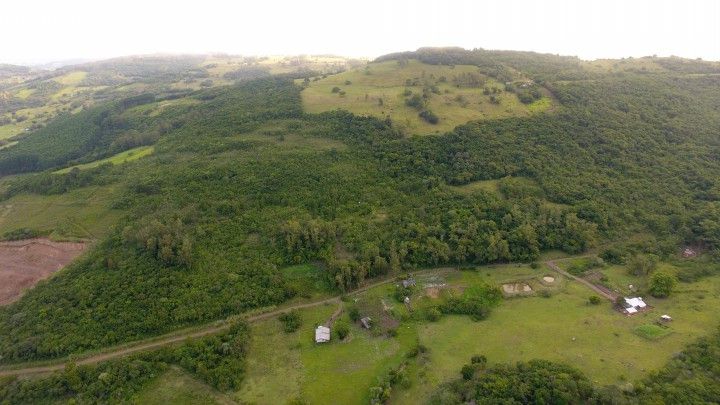 Sítio de 6 ha em Santo Antônio da Patrulha, RS