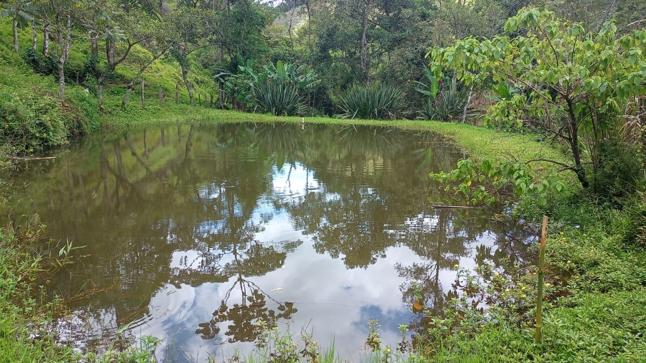 Sítio de 15 ha em São José dos Campos, SP