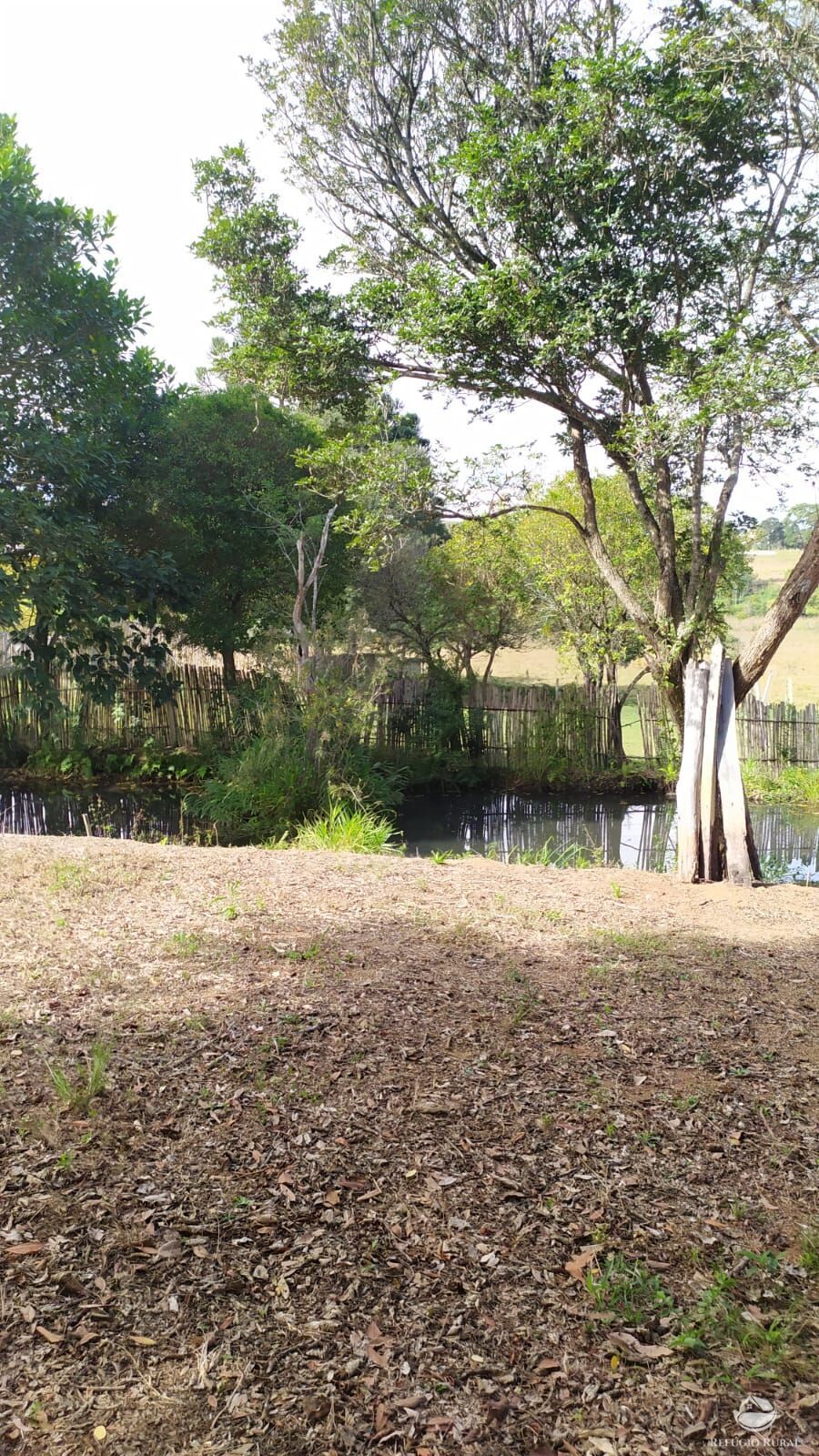 Chácara de 5.000 m² em Conceição dos Ouros, MG