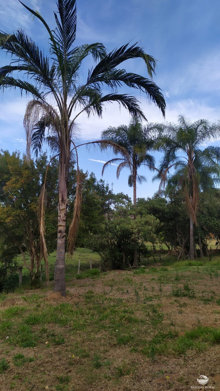 Chácara de 5.000 m² em Conceição dos Ouros, MG