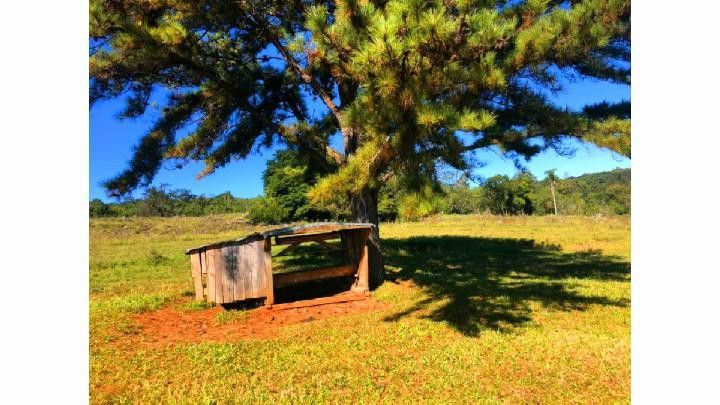 Fazenda de 60 ha em Taquara, RS