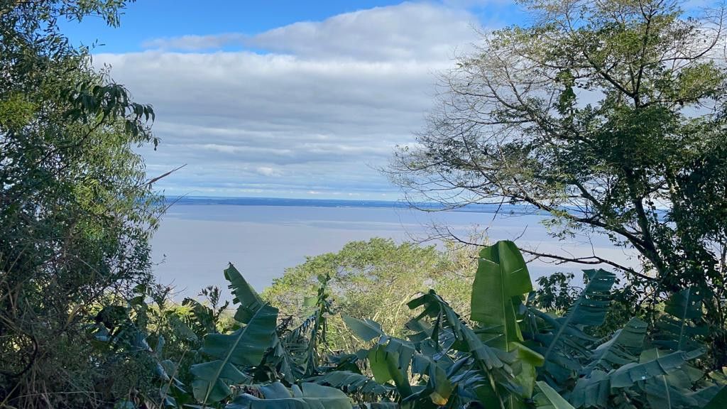 Fazenda de 75 ha em Osório, RS