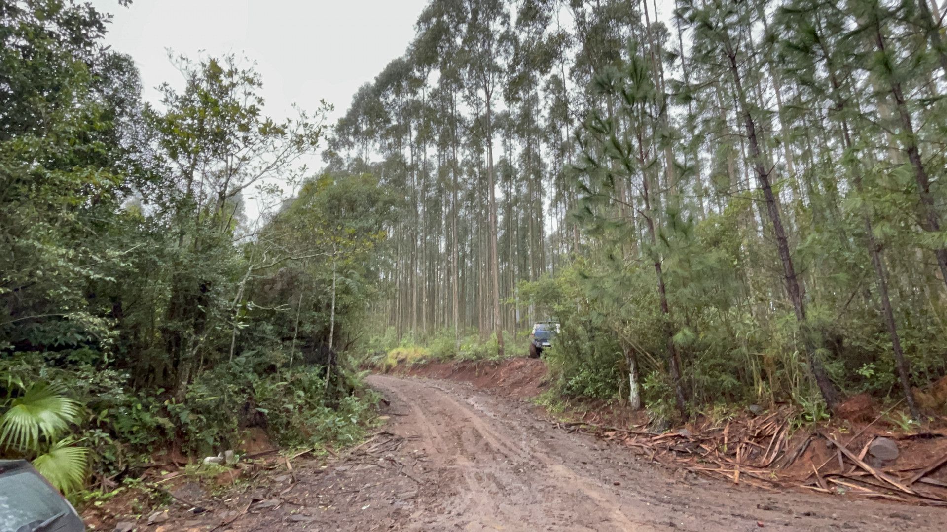 Fazenda de 75 ha em Osório, RS