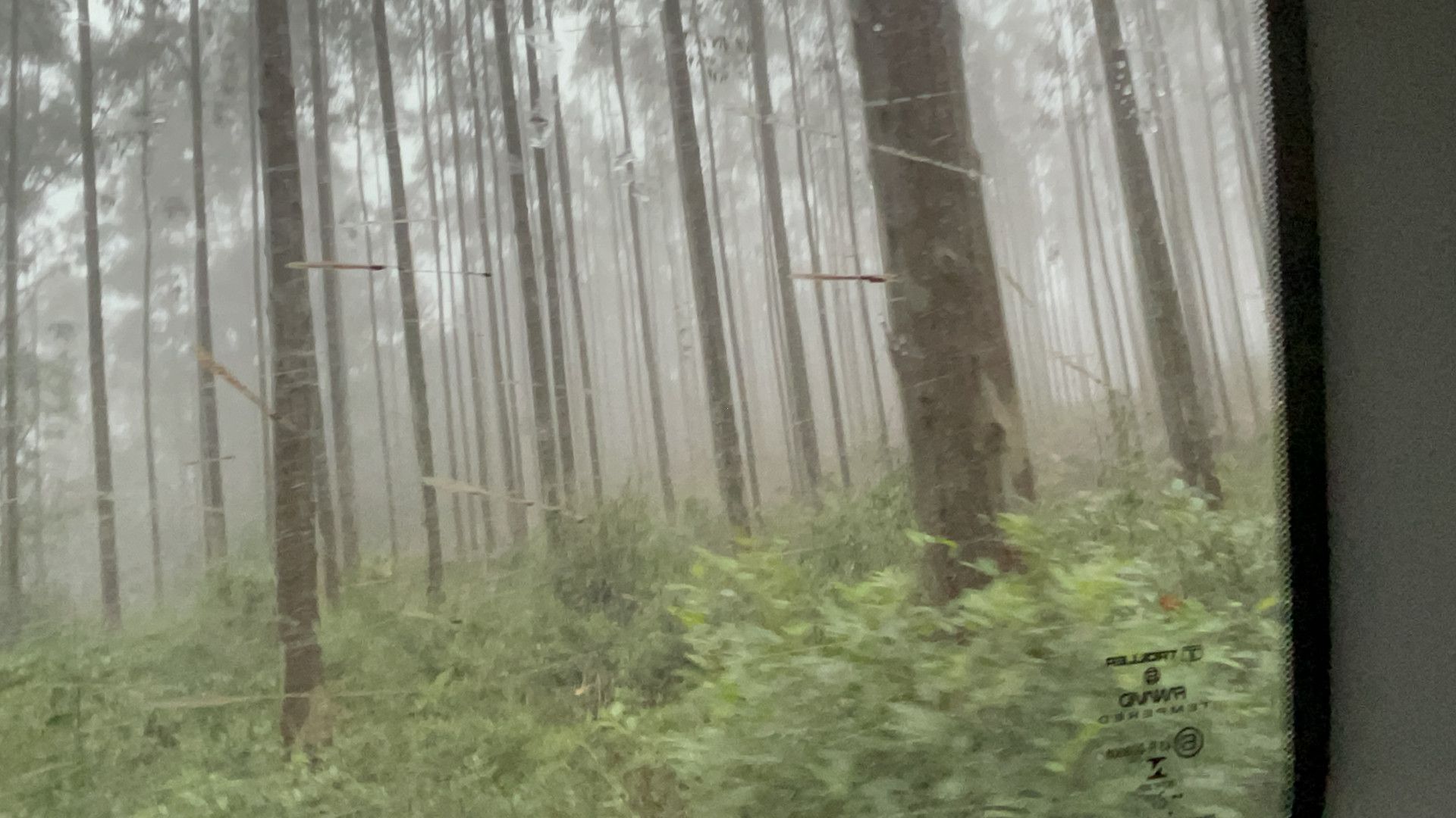 Fazenda de 75 ha em Osório, RS