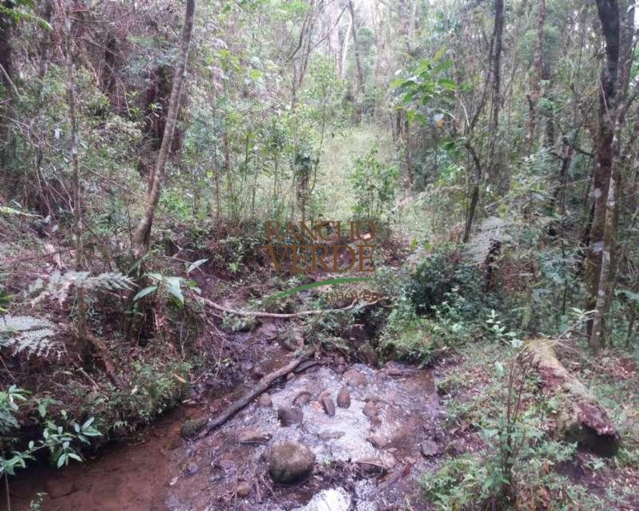 Fazenda de 223 ha em Gonçalves, MG