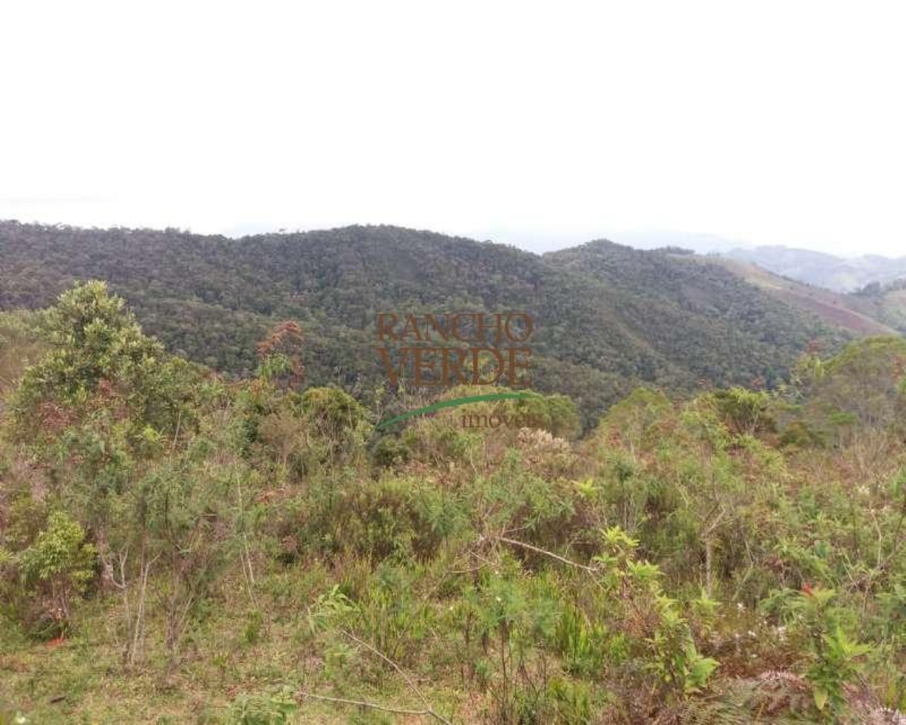 Fazenda de 223 ha em Gonçalves, MG