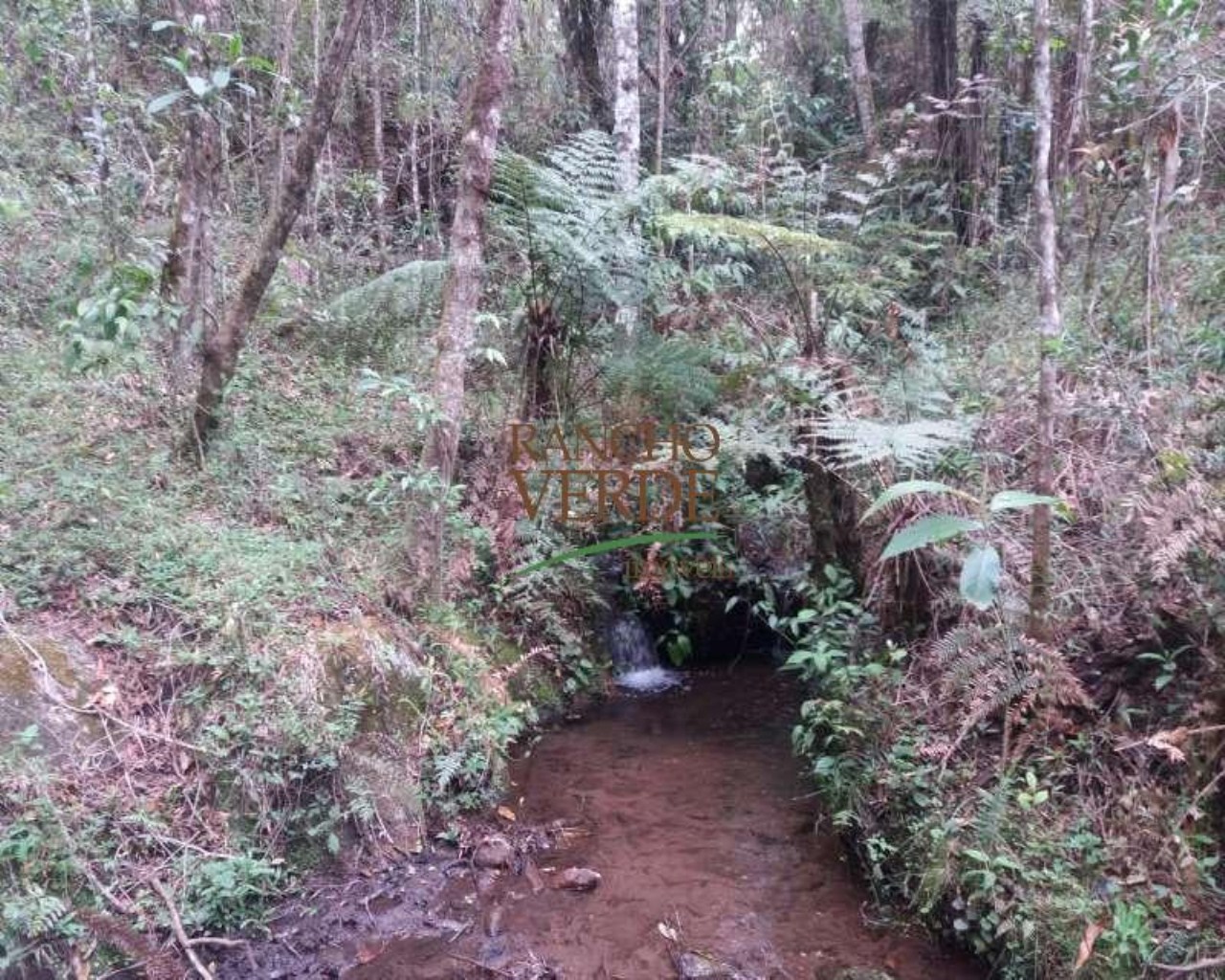 Fazenda de 223 ha em Gonçalves, MG